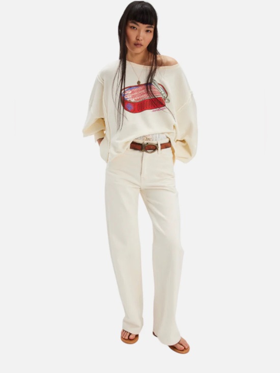 Free People Sweaters - NWT Free People Sardine Graphic Camden Pullover
